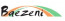 Baezeni Company Network logo